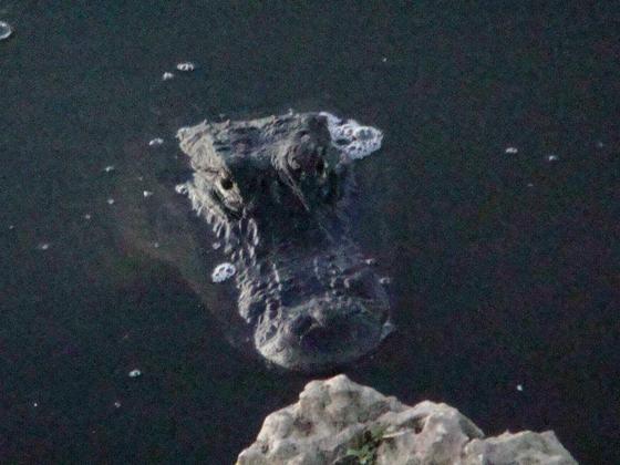 Everglades National Park