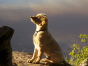 White River National Forest