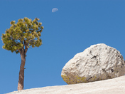 Yosemite National Park