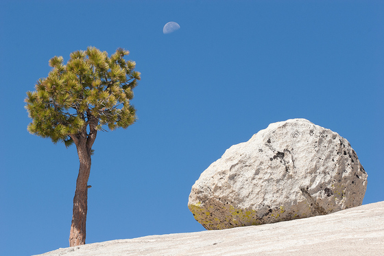 Yosemite National Park