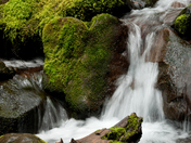 Olympic National Park, Washington