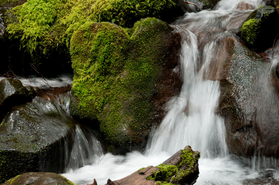 Olympic National Park, Washington