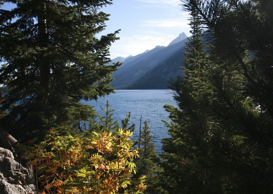 Grand Teton NP