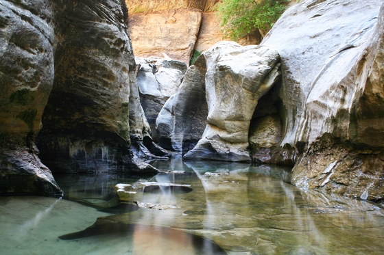 Zion National Park