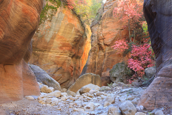 Zion National Park