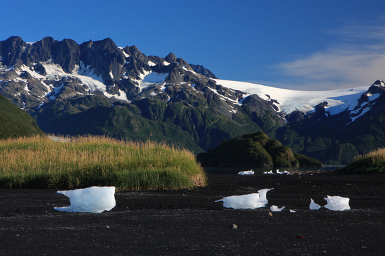 Kenai Fjords National Park