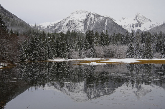 U.S. Forest Service