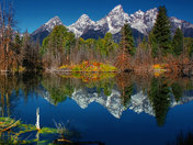 yellowstone national pary wy.