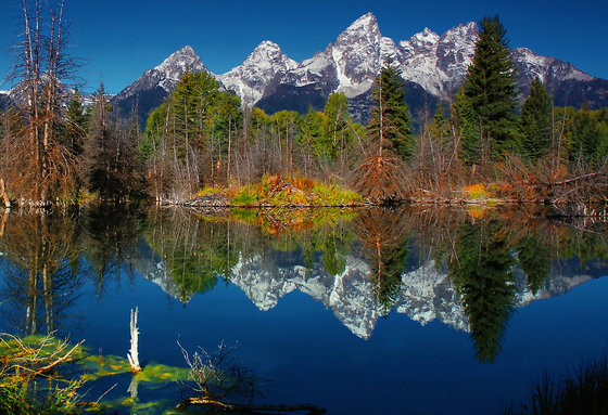 yellowstone national pary wy.