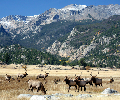 Rocky Mountain National Park