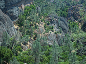 Pinnacles National Monument