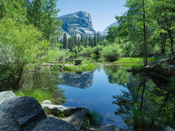 Yosemite National Park