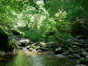 Great Smoky Mountains National Park