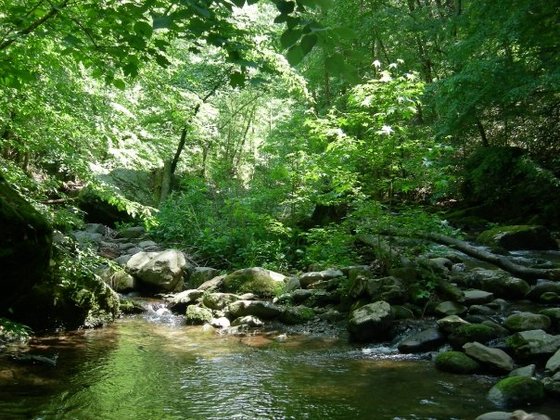 Great Smoky Mountains National Park