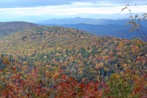 Spruce Knob-Seneca Rocks National Recreation Area