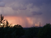 Kiabab National Forest