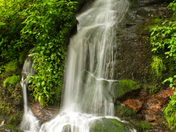 Great Smoky Mountains National Park