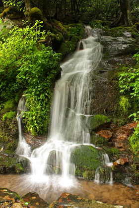 Great Smoky Mountains National Park