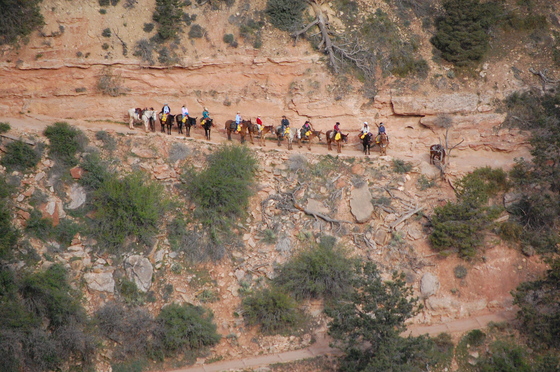 Grand Canyon