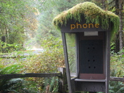 Olympic National Park