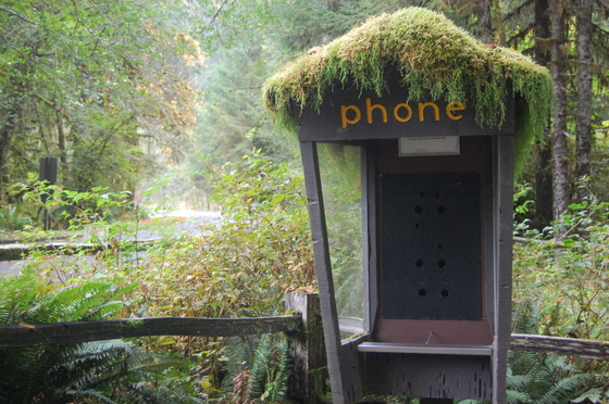 Olympic National Park