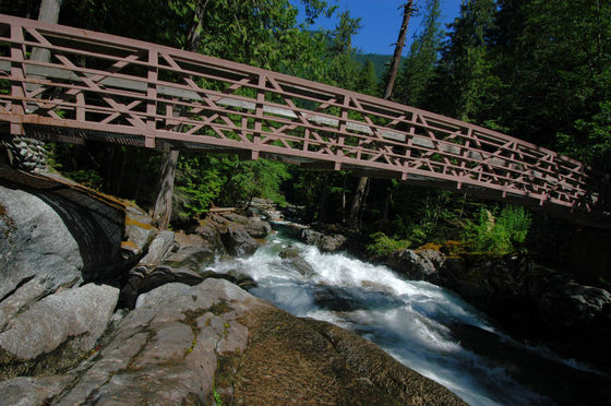 Wenatchee National Forest