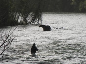 Katmai Nat'l. Park & Preserve