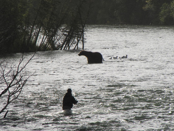 Katmai Nat'l. Park & Preserve