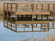 Stillwater National Wildlife Refuge