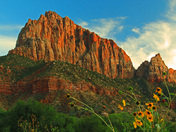 zion national park