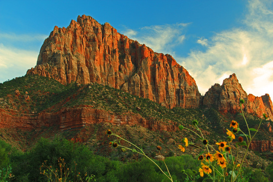zion national park