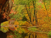 coconino national forest