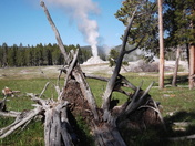 Yellowstone