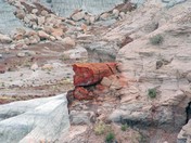 Petrified Forest NP