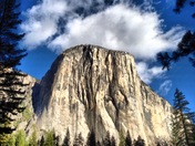 Yosemite National Park