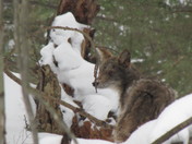 Sleeping Bear Dunes National Lakeshore