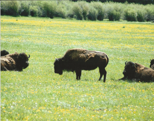 Teton National Park