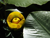 Grand Teton National Park