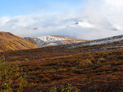 Denali National Park