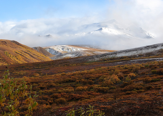 Denali National Park