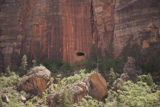Zion National Park
