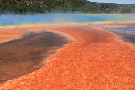 Yellowstone