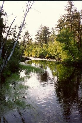 BWCAW