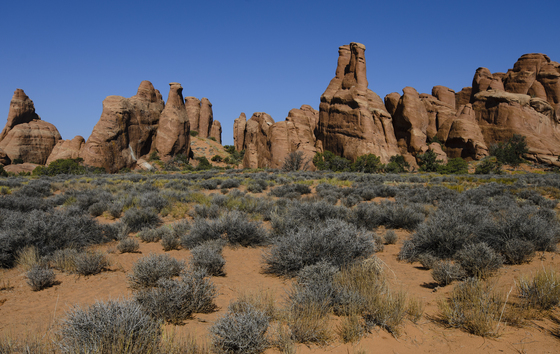 Arches National Park