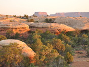 Canyonlands National Park / Needles District