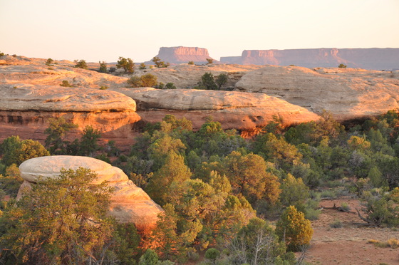 Canyonlands National Park / Needles District