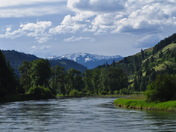 St. Joe National Forest