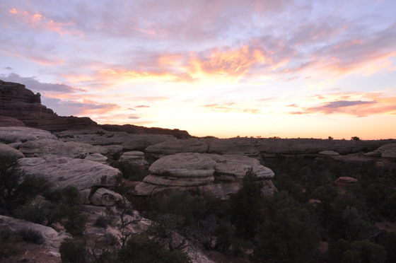 Canyonlands National Park / Needles District