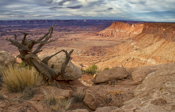 Canyonlands National Park