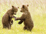 Lake Clark National Park